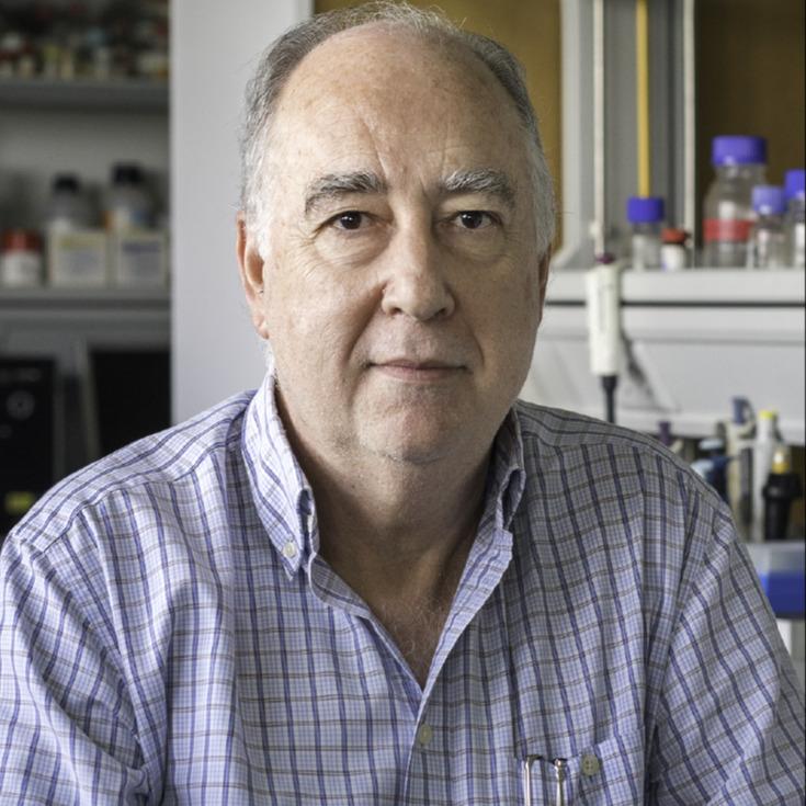 Photo of Maia Chankseliani, PhD